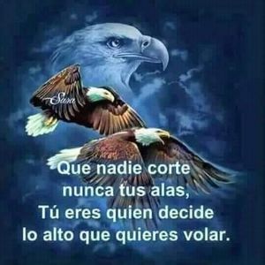 Meet your Posher, Maggie